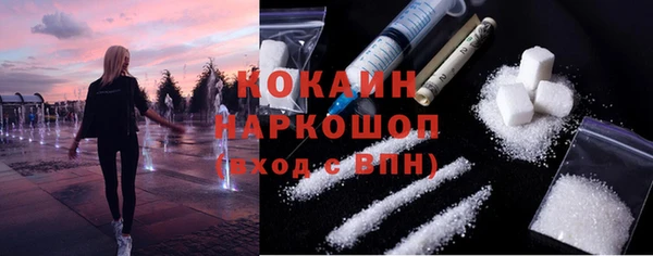 индика Елабуга