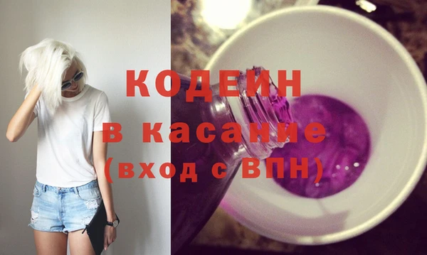 индика Елабуга