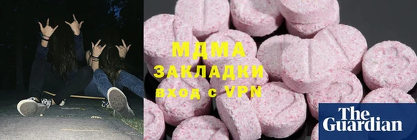 индика Елабуга