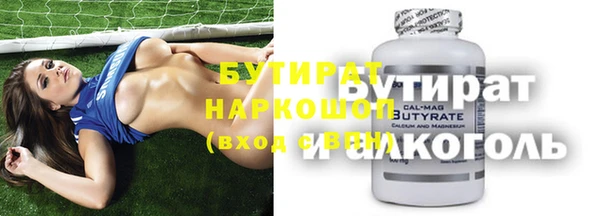 индика Елабуга