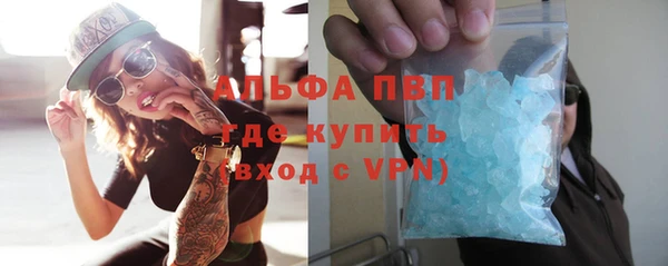 индика Елабуга