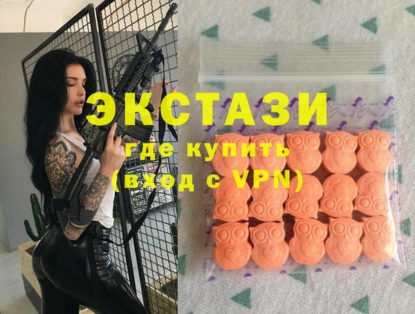 индика Елабуга