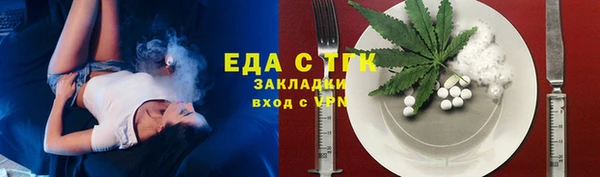 индика Елабуга