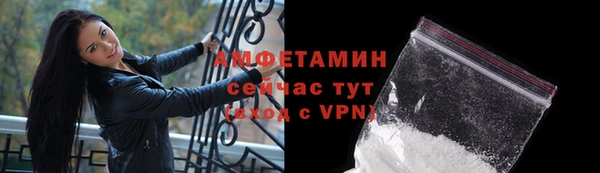 индика Елабуга