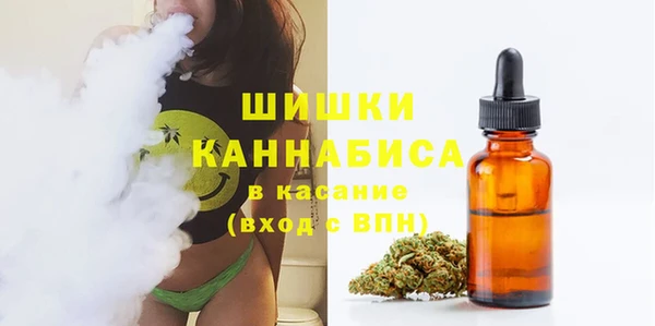 индика Елабуга