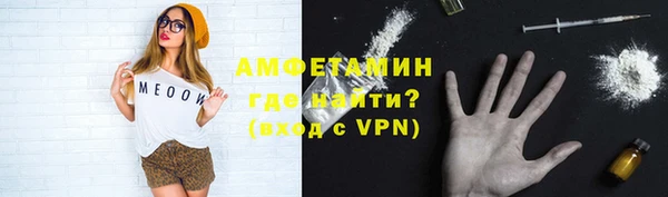 индика Елабуга