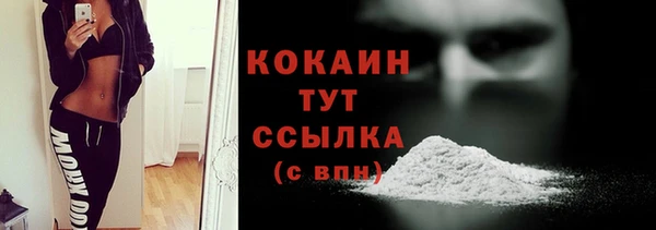 индика Елабуга