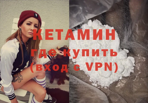 индика Елабуга