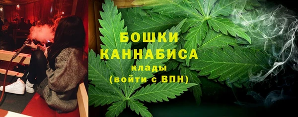 первитин Ельня