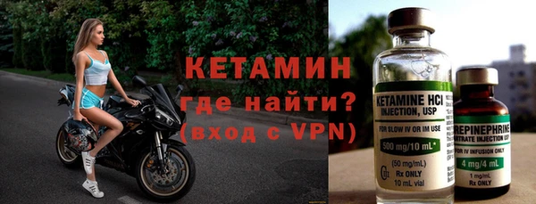 индика Елабуга