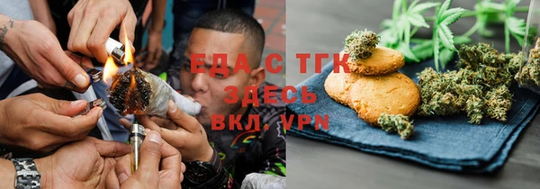индика Елабуга