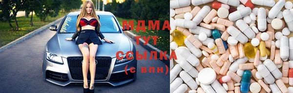 индика Елабуга