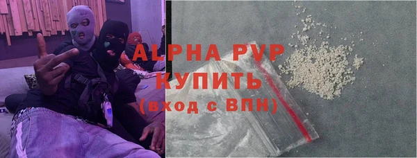 индика Елабуга