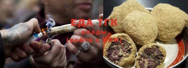 индика Елабуга